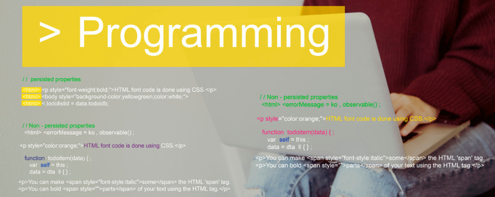 Programming Language